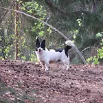 Séjour à la campagne Apat *