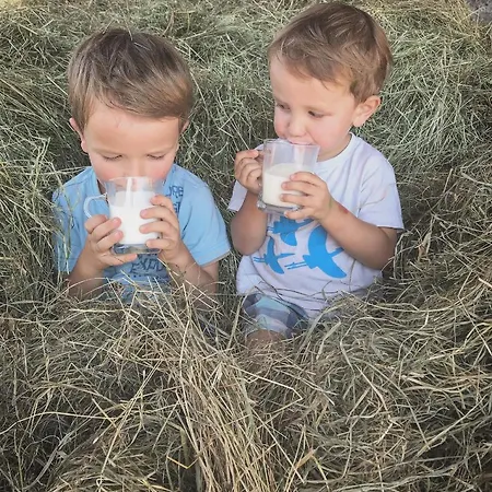 Venkovský dům Apat Sostanj