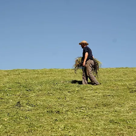 Apat Venkovský dům