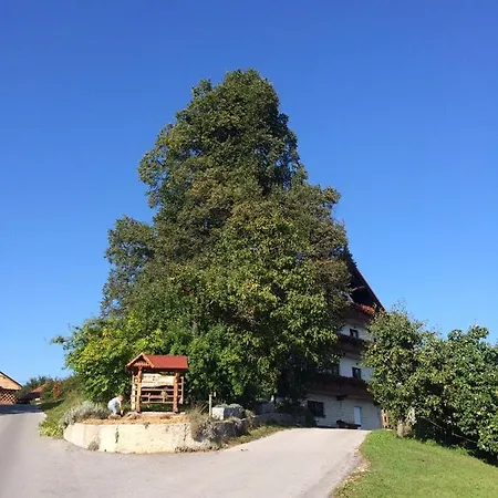 Apat * Sostanj
