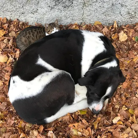 Venkovský dům Apat