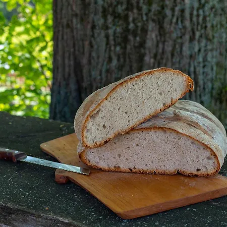 Venkovský dům Apat *