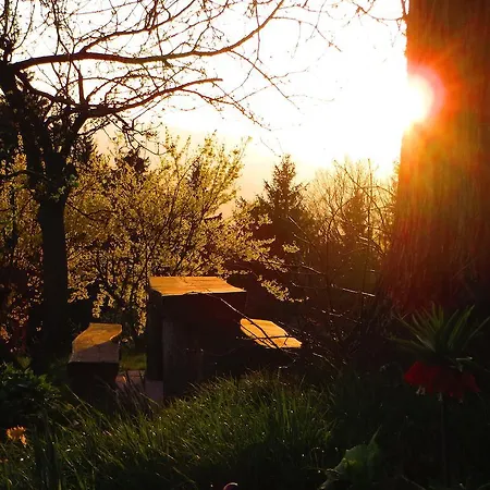 컨트리하우스 Apat