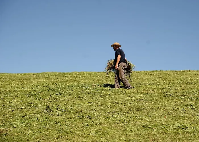 Apat Летний дом