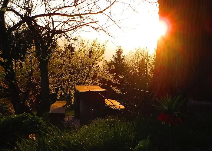 Летний дом Apat